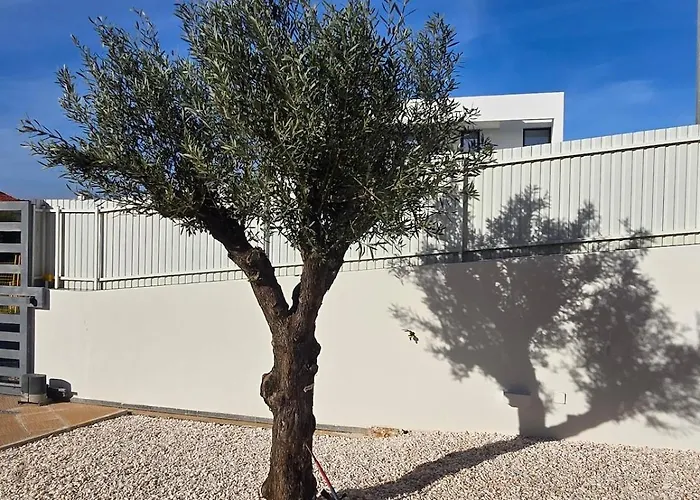 Villa Casa Cliff By Sun Sea *